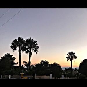 Meet your Posher, Lesly